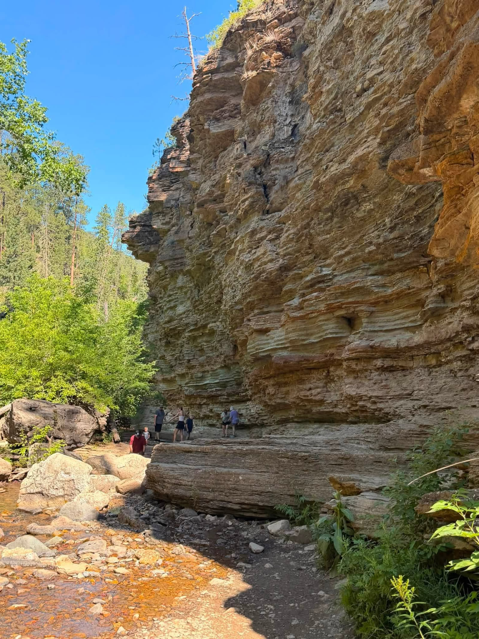 Aerial view of the Spearfish Canyon Scenic Byway winding between limestone walls and pine forest