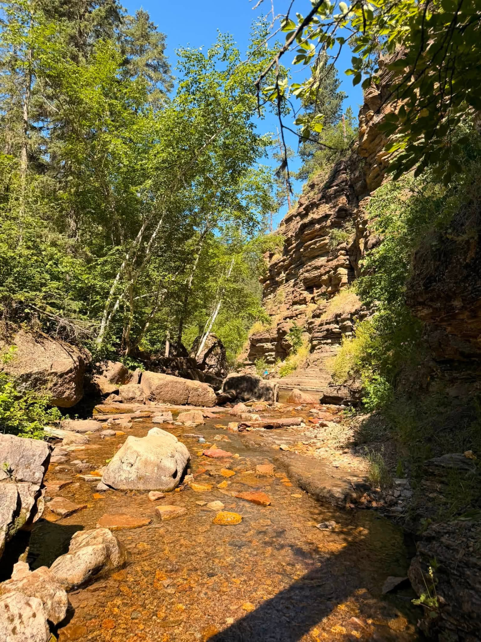 Hiker stepping across a shallow rocky creek crossing in a Black Hills forest